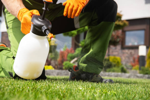 Best Commercial Pest Control Services  in Effingham, IL
