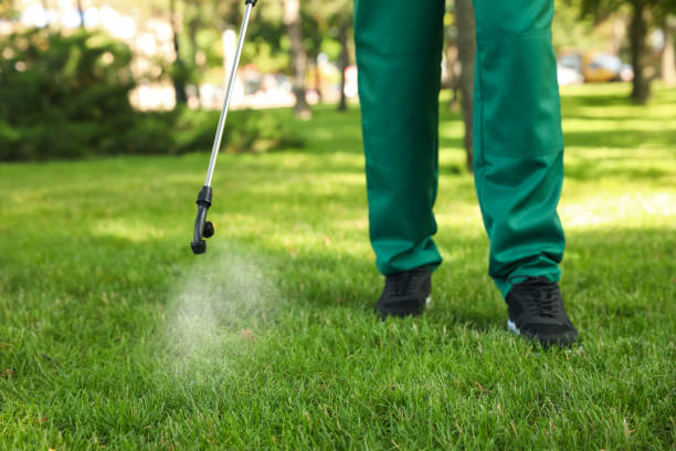Best Wildlife Control Services  in Effingham, IL