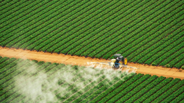 Best Pest Inspection Near Me  in Effingham, IL