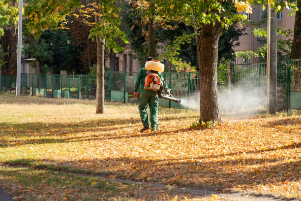 Reliable Effingham, IL Pest Control Solutions