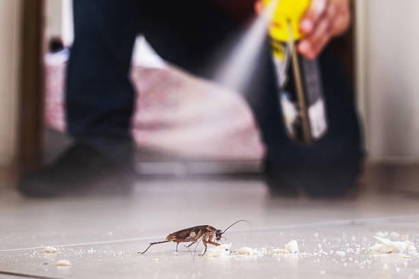 Best Pest Control Near Me  in Effingham, IL